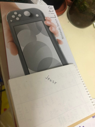 switchライト　