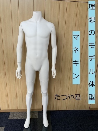 マネキン　モデル体型　可動
