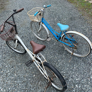 本日引き取りの人に決まりました。ありがとうございました。