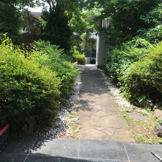 庭の草むしりをお願いします。7月23日、24日