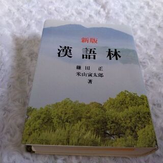 新版　漢語林の画像
