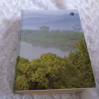 新版　漢語林の画像