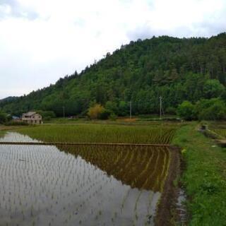 登山仲間探してます！