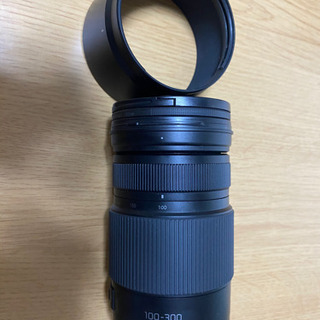 LUMIX G VARIO 100-300mm/F4.0-5.6 IIの画像
