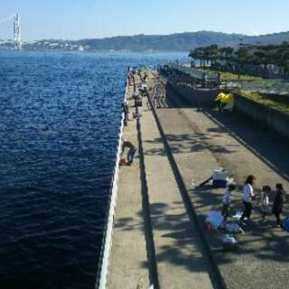 8月1日(土)・2日(日)の各日明石市大蔵海岸で釣りしませんか？