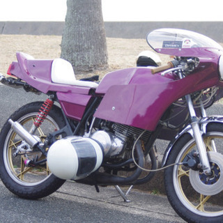 RG250E