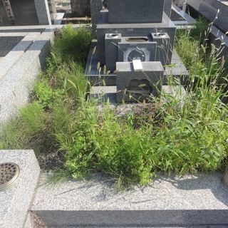 〇今月分の受付は終了です●草むしり●毛呂山付近●お寺や霊園のお墓...