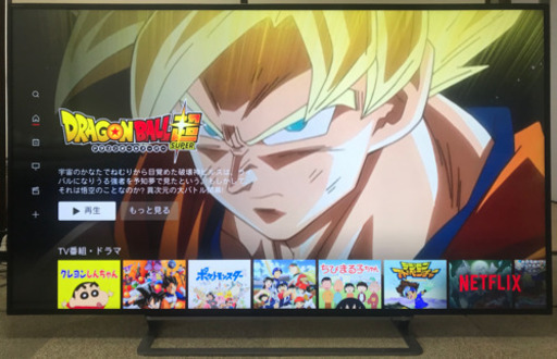 東芝 55V型 液晶 テレビ 55G20X 4K USB HDD録画対応