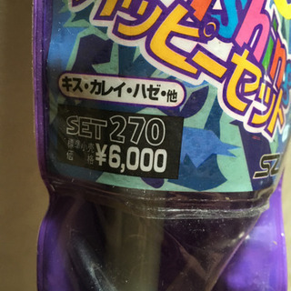 新品未使用　初心者用釣り具セットの画像