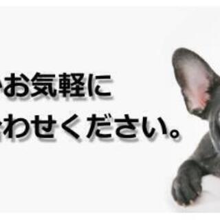 ペット火葬・訪問ペット火葬　　　羊申（ようこう）埼玉事業所 - ペット