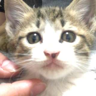 無事決まりました！ありがとうございます