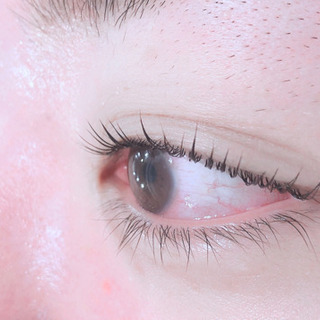 新規メニューの為、アイリスト募集の画像