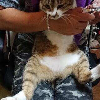 お話し合い中。ご高齢の方もご相談ください。