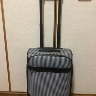 キャリーバック（小）