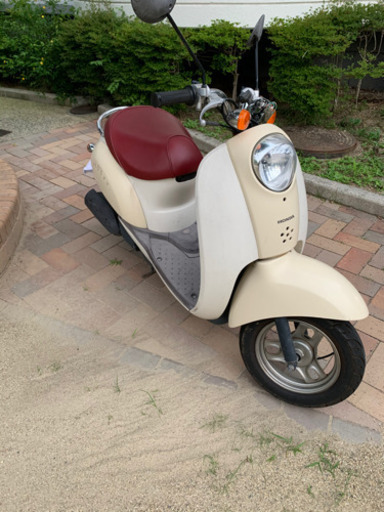 クレアスクーピー　ホンダ　4サイクル　50cc