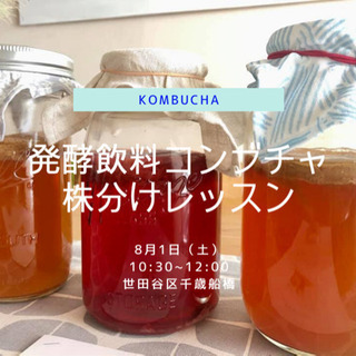 残席1】発酵飲料コンブチャ 株分けレッスン