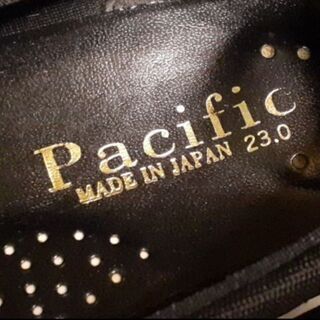 黒 ﾊﾟﾝﾌﾟｽ 23cmの画像