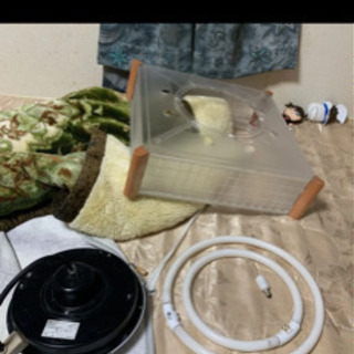 オーデリック製ライトカバー