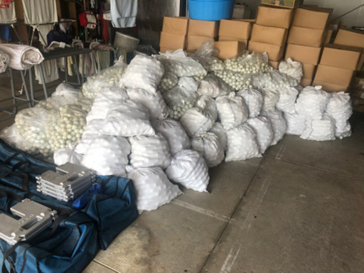 ゴルフボール（練習球）