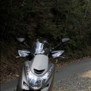(車両交換)マジェスティS 155cc リトルカブ
