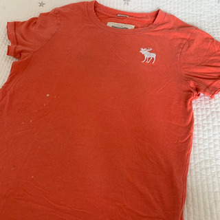 アバクロメンズTシャツ