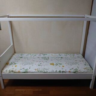 【キャノピーベット】貰って欲しい