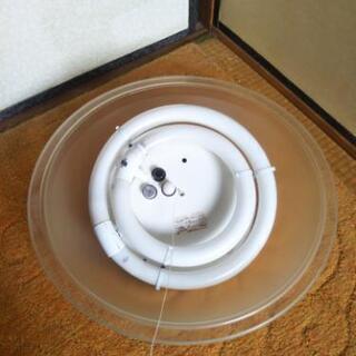 照明器具　吊り下げタイプの画像