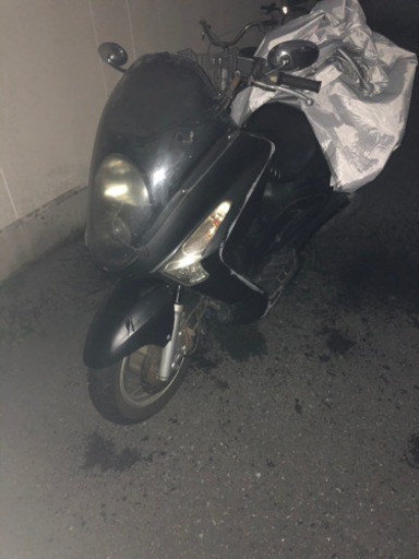 SYM RV250   ビックスクーター