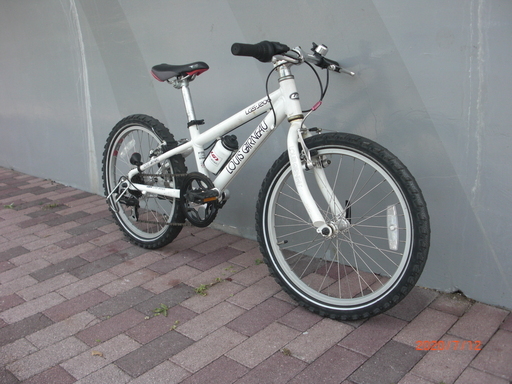 ☆引き渡し限定☆ルイガノ クロスバイク 自転車 子供 20インチ 【楽天