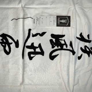 Kawasaki忍者ninja Tシャツの画像