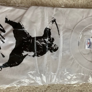 Kawasaki忍者ninja Tシャツの画像