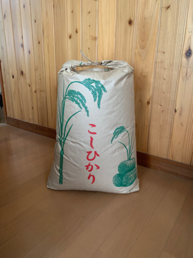 茨城県産コシヒカリ