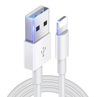 iPhone Lightning  cable②の画像