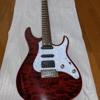 Grass Roots
G-SN-CTM (See Thru Red) ギター