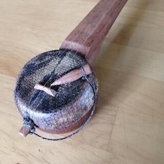 東南アジア　弦楽器の画像