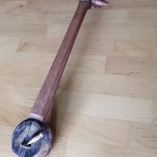 東南アジア　弦楽器の画像