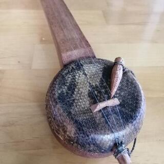 東南アジア　弦楽器の画像