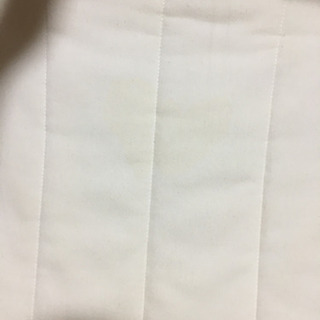 ポエングの画像