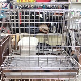未使用 ハチコウゲージ ペットゲージ Mサイズ 宮崎 都城
