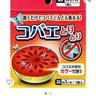 新品未開封 コバエとり