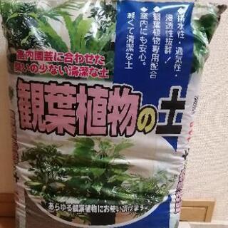 観葉植物の土　大容量　14L　未開封