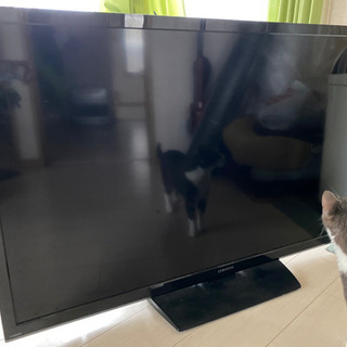 テレビ 50インチの中古が安い！激安で譲ります・無料であげます