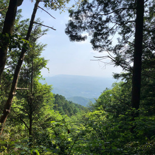 お散歩、山登り（低登山）しませんか〜
