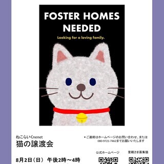 8月2日（日）猫の譲渡会＠名古屋市天白区植田