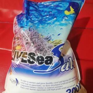 人口海水　ライブシーソルト200L