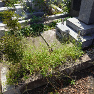 お墓掃除お墓参り代行します