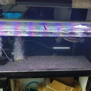アクリル水槽　1200×450×450　セット