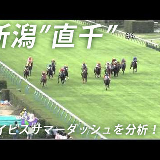 イビスサマーダッシュ　zoom座談会（途中入場ok）