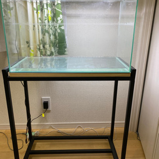 GEXオールガラス水槽セット‼️