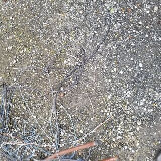 BSアンテナ中古差し上げますの画像